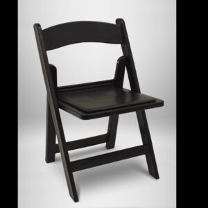 Padded Resin Folding Chair